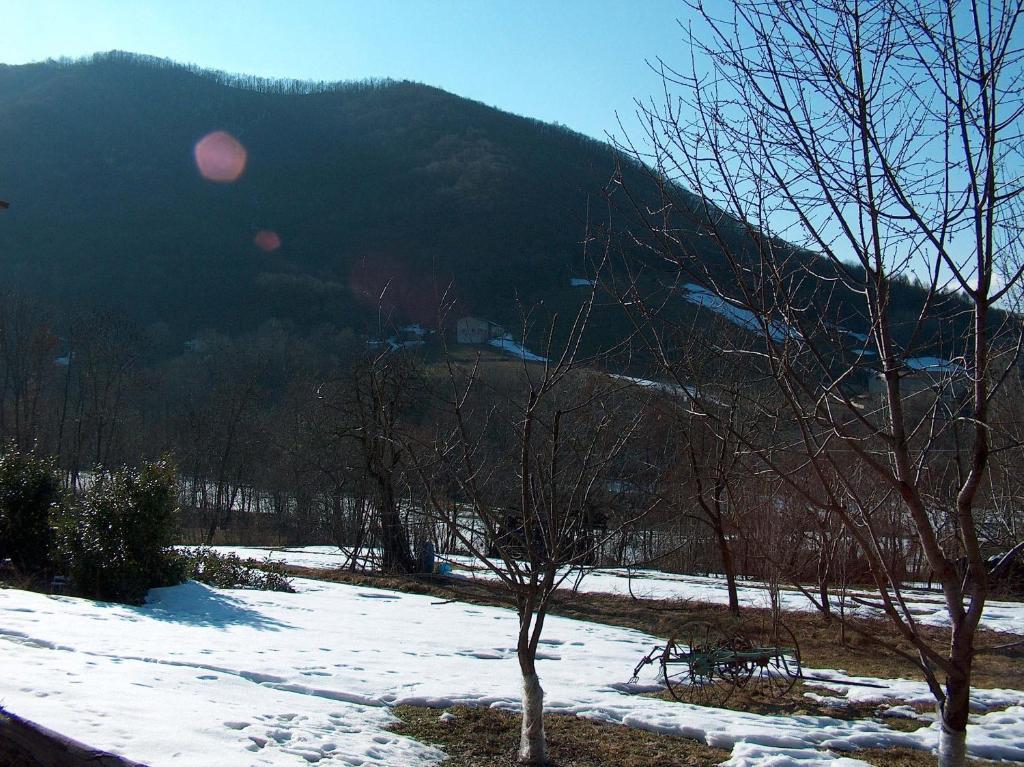 Agriturismo La Meridiana フラボーザ・ソッターナ エクステリア 写真
